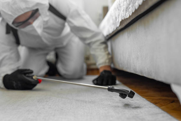 Professional Bed Bug Control technician working in Richland County County, IL